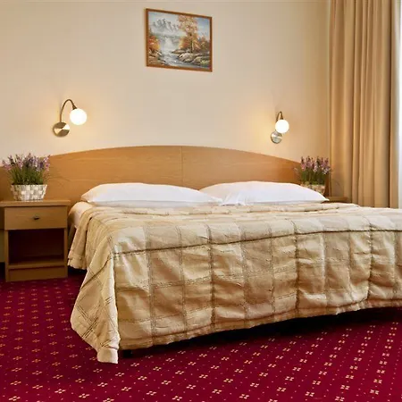 Hotel Aramis *